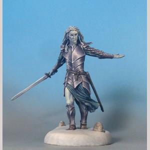 Male Elven Warrior with Long Sword