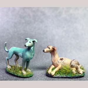Fae Greyhounds x 2